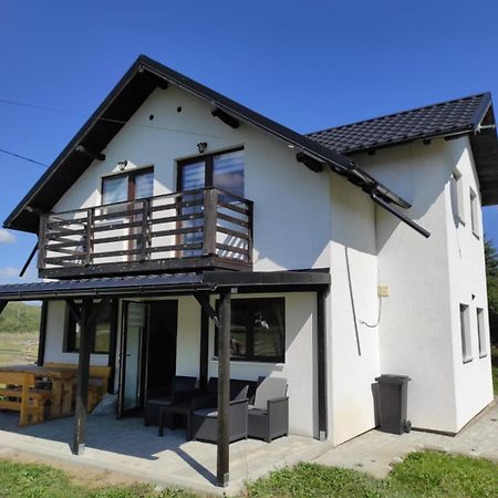 Vila Raisa Neagra Sarului Екстер'єр фото