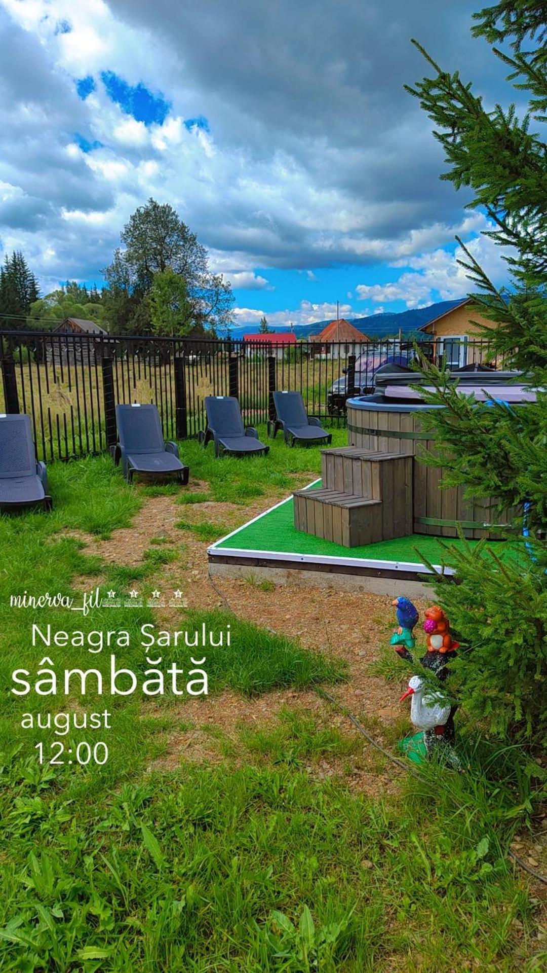 Vila Raisa Neagra Sarului Екстер'єр фото