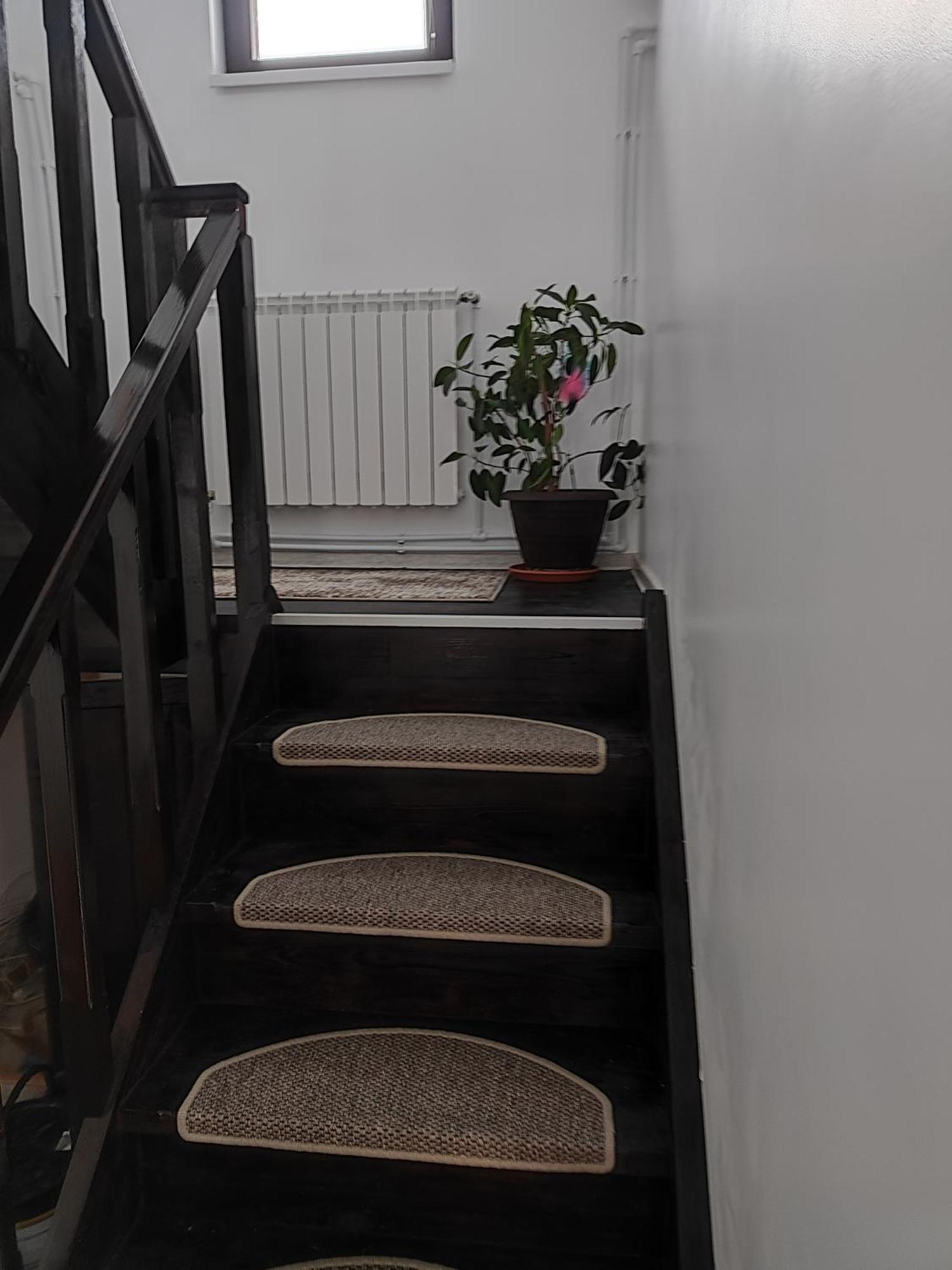 Vila Raisa Neagra Sarului Екстер'єр фото